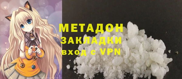 индика Ельня