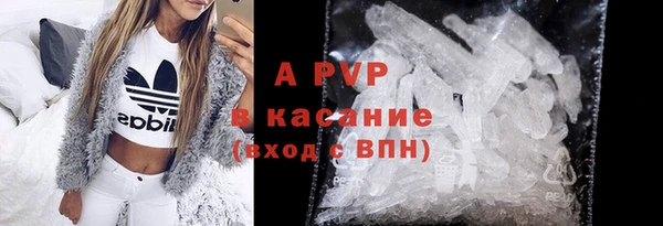 индика Ельня