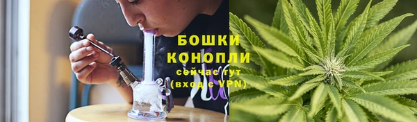 гидра Елабуга