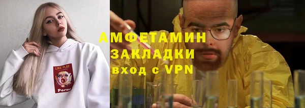 индика Ельня