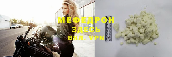 индика Ельня