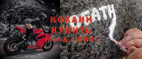 индика Ельня