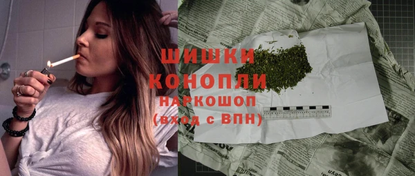 индика Ельня